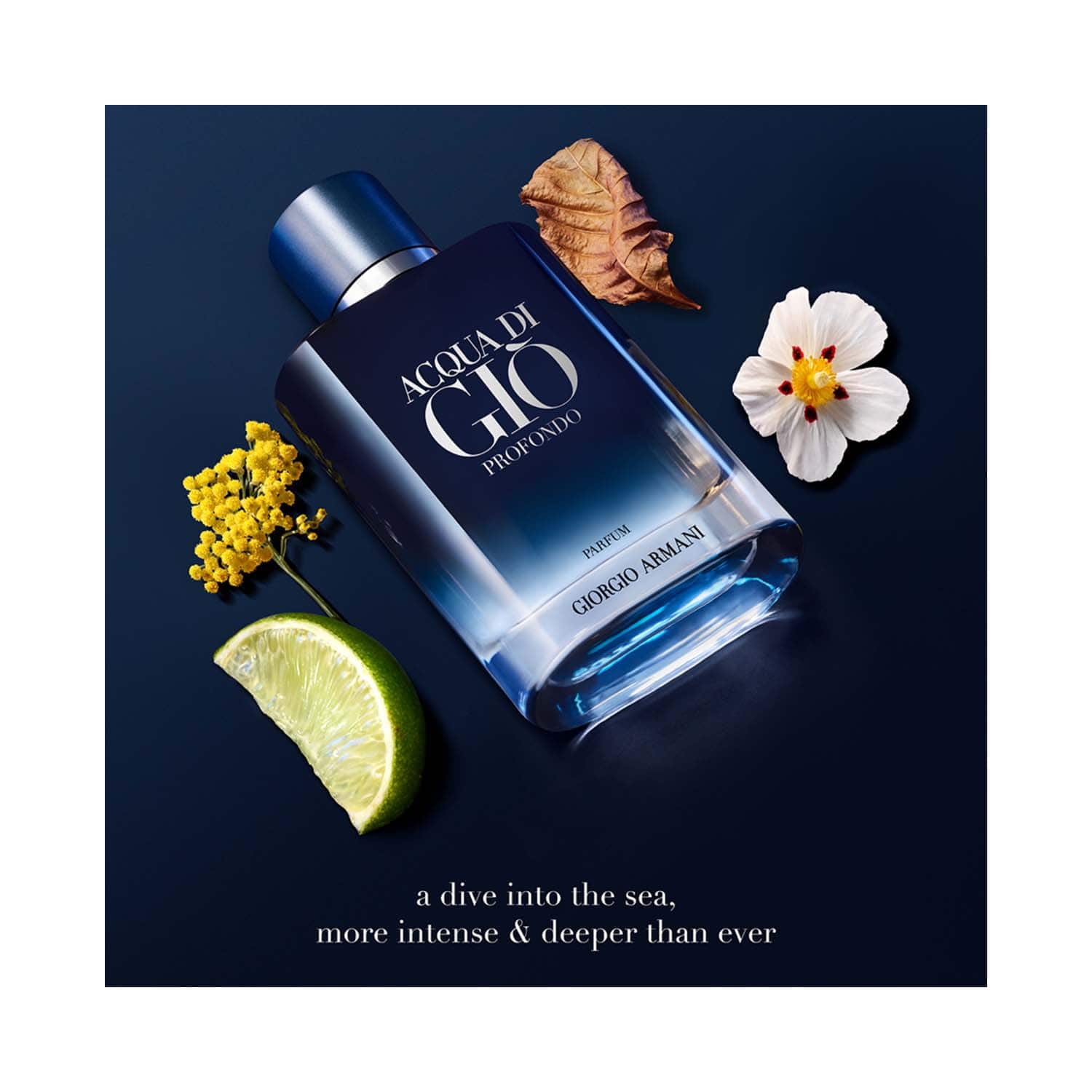 Giorgio Armani Acqua Di Gio Profondo Parfum
