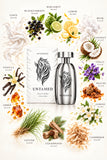 Mykonos Untamed Extrait De Parfum For Unisex