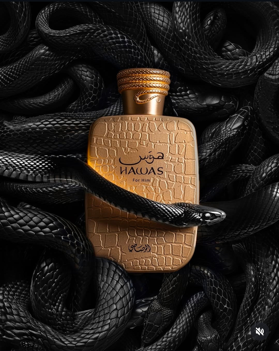 Rasasi Hawas Viper Eau De Parfum For Unisex (New Launch)